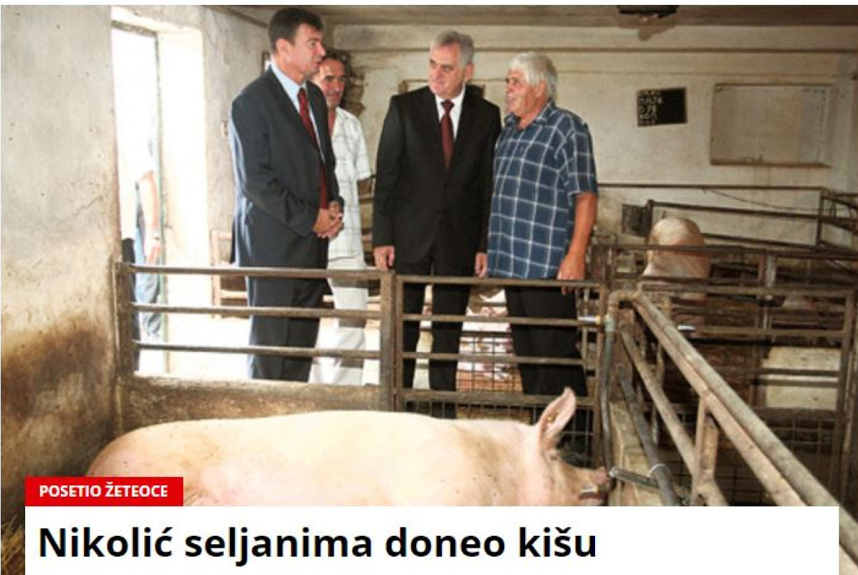 FarmaDavidovDragomirITomaNikolić